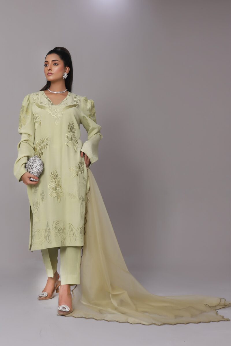 Zahra Mont Green Korean Raw Silk Set